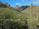 photo thumbnail #1