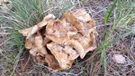 photo thumbnail #15