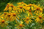 photo thumbnail #12