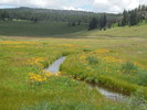 photo thumbnail #13