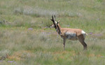 photo thumbnail #7