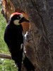 photo thumbnail #14