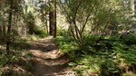 photo thumbnail #13
