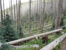 photo thumbnail #12