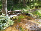 photo thumbnail #13