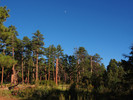 photo thumbnail #10