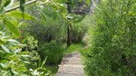 photo thumbnail #7