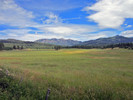photo thumbnail #1