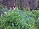 photo thumbnail #3