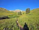 photo thumbnail #1
