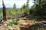 photo thumbnail #8