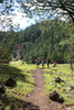 photo thumbnail #14