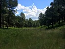 photo thumbnail #13