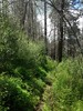 photo thumbnail #12