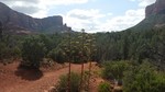 photo thumbnail #15