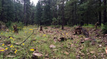 photo thumbnail #4