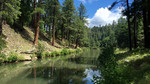 photo thumbnail #9