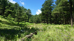 photo thumbnail #11