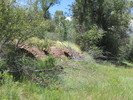 photo thumbnail #8