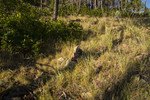 photo thumbnail #12