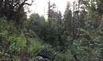 photo thumbnail #3