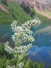 photo thumbnail #15