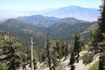 photo thumbnail #7