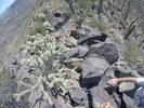 photo thumbnail #5