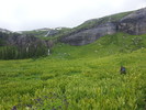 photo thumbnail #5