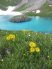 photo thumbnail #14
