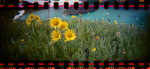photo thumbnail #15