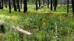 photo thumbnail #8