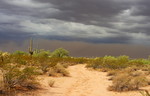 photo thumbnail #5