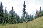 photo thumbnail #10
