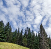 photo thumbnail #15