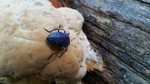 photo thumbnail #9