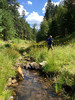 photo thumbnail #6