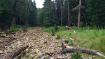 photo thumbnail #11