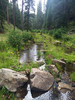 photo thumbnail #13