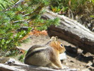 photo thumbnail #2