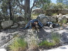 photo thumbnail #7