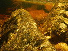 photo thumbnail #15