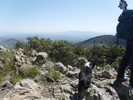 photo thumbnail #6
