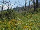 photo thumbnail #12