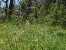 photo thumbnail #13