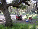 photo thumbnail #12