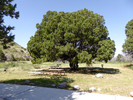 photo thumbnail #14