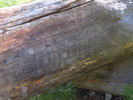 photo thumbnail #4