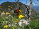 photo thumbnail #15