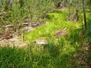 photo thumbnail #10